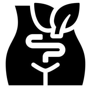 Gynaecology