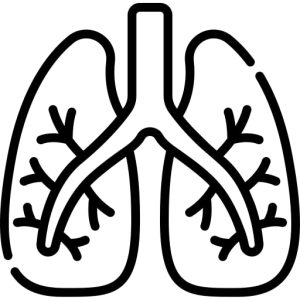 Pulmonology